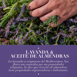 Shampoo Anti-Frizz Herbal Essences Lavanda y Almendras 600 ml