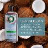 Shampoo Agua de Coco y Jazmín Herbal Essences 400 ml | BellaSkin